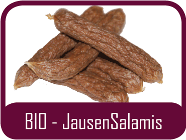 BIO - JausenSalamis